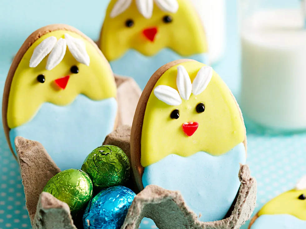 Hatched chick bikkies