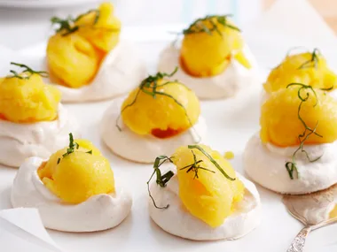 Lime meringues with mango basil sorbet