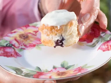 Blueberry Scones