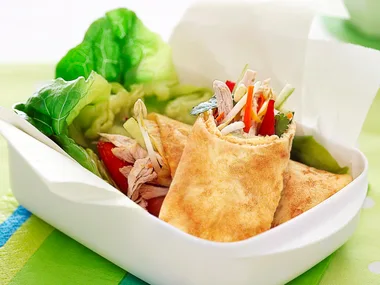 Chicken Omelette Roll-Ups