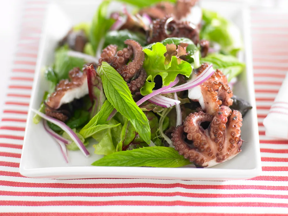 marinated octopus salad
