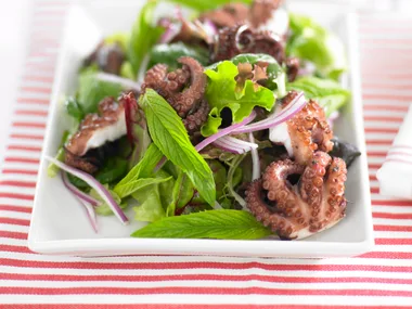 marinated octopus salad