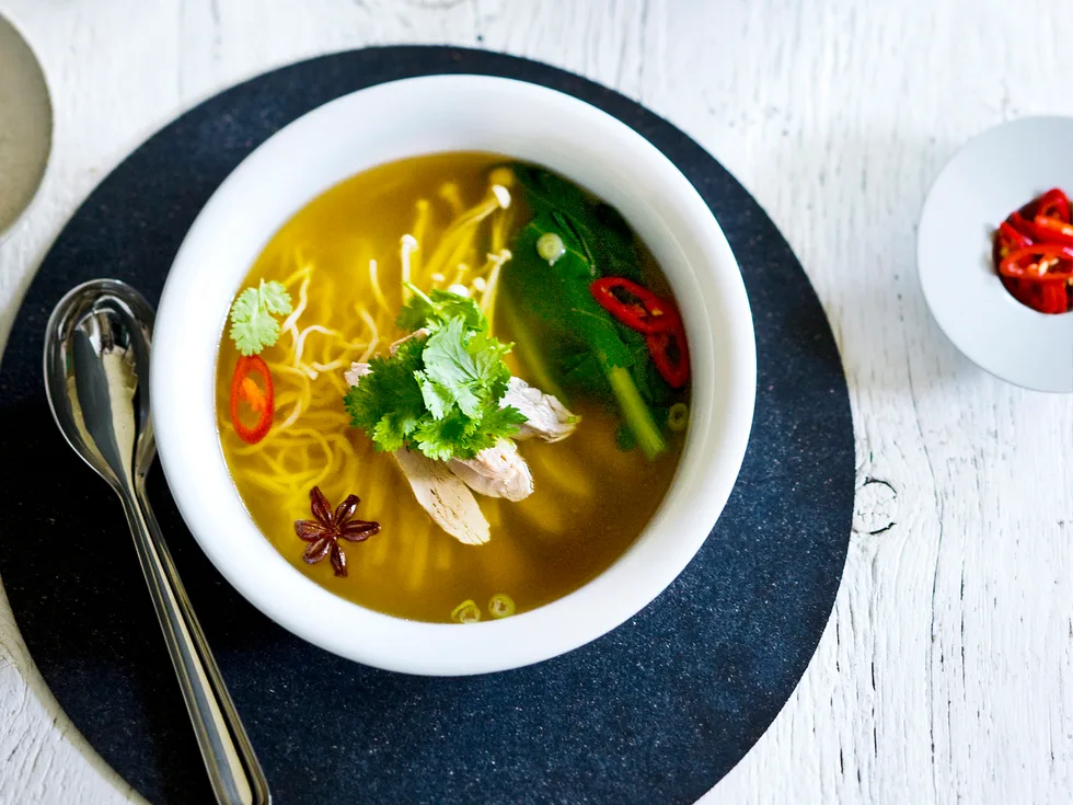 duck and noodle soup