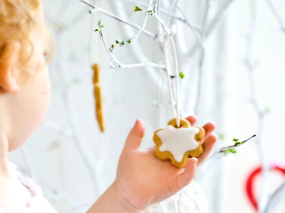 Sugar and spice cookies