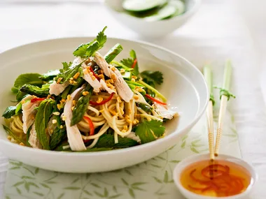 Shredded Chicken and Noodle Salad