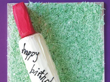 Cricket Bat and Ball Cake
