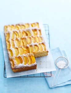 Apricot and plum coconut slice