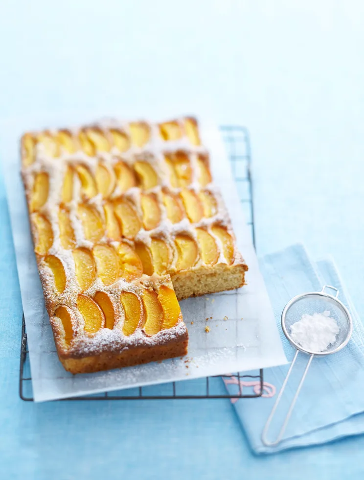 Apricot and plum coconut slice