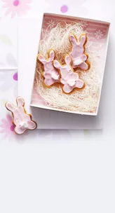 Bunny biscuits