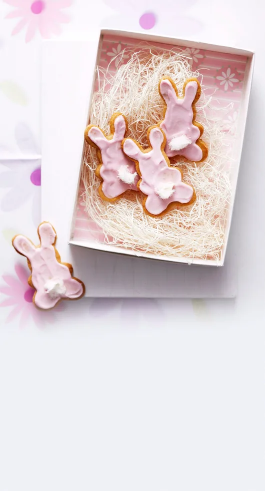 Bunny biscuits