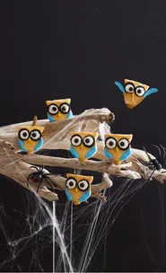Night owl biscuits
