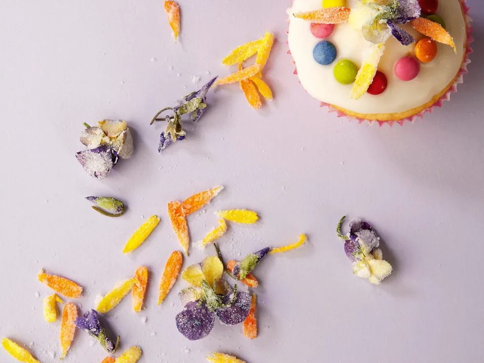 Vanilla cupcakes