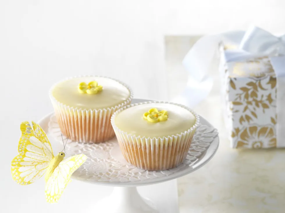 daisy glaze