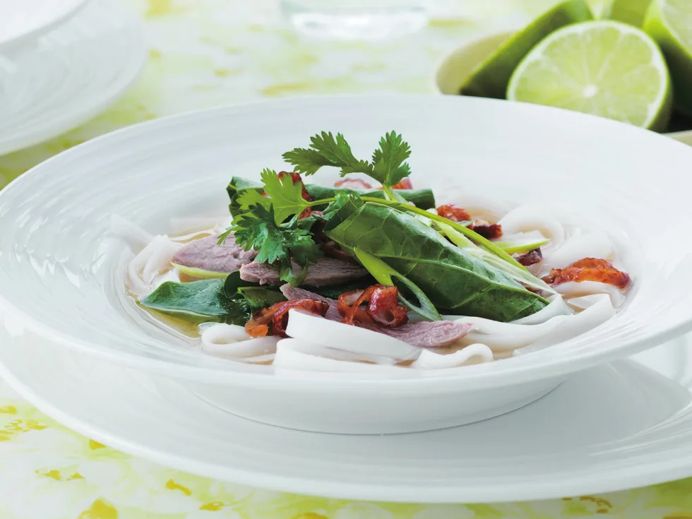 duck broth with noodles
