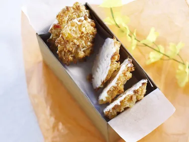 tropical florentines