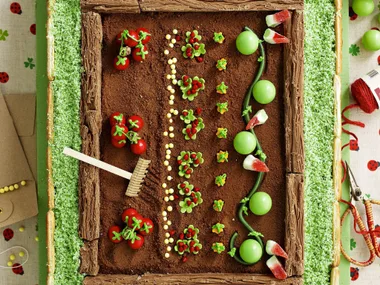VegetabLe Garden