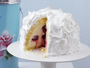 berry bombe cheesecakes