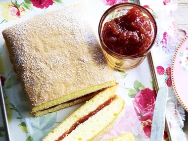 rhubarbandraspberryjam