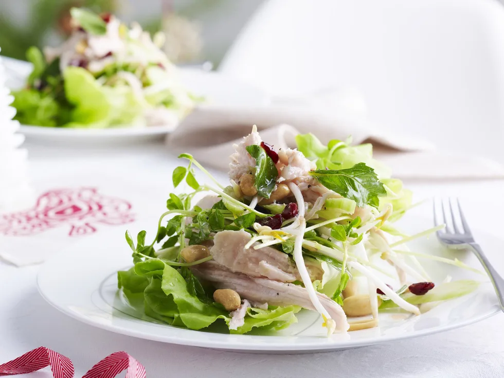TURKEY, CRANBERRY and Peanut Salad
