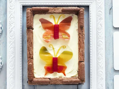 butterfly display case