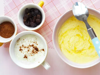 apple yoghurt with cinnamon