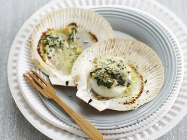 spinach and mustard scallops