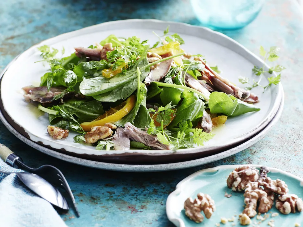 CONFIT DUCK & CANDIED ORANGE SALAD