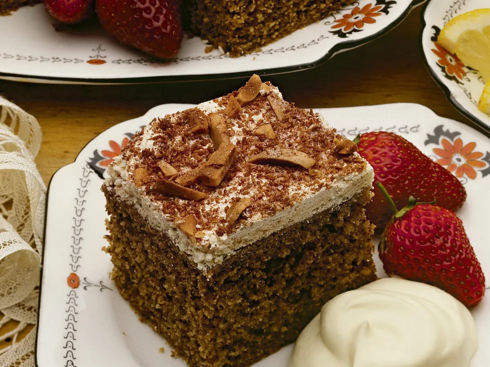 CHOC-CINNAMON MERINGUE- TOPPED CAKE