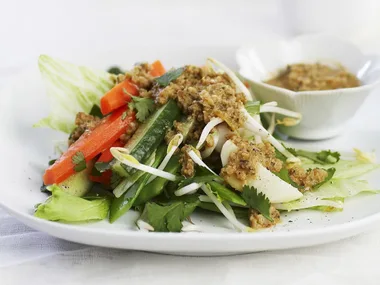 GADO GADO
