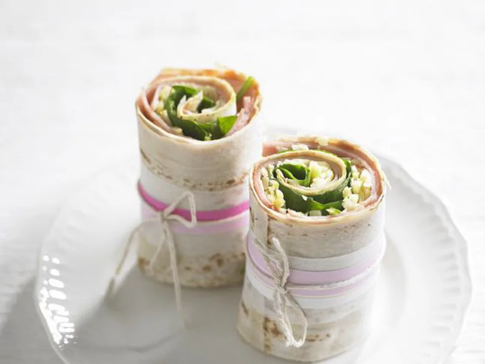 PASTRAMI & CHEESE WRAP