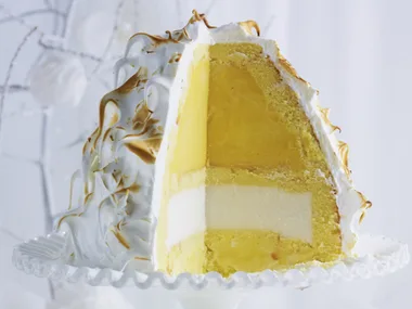 tropical bombe alaska