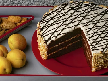 CHOCOLATE APRICOT CAKE