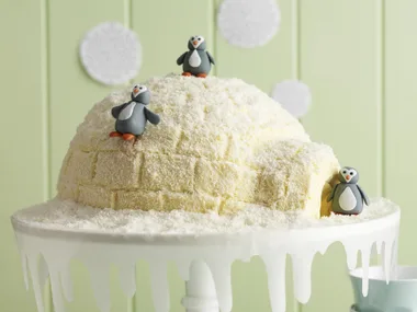igloo ice-cream cake