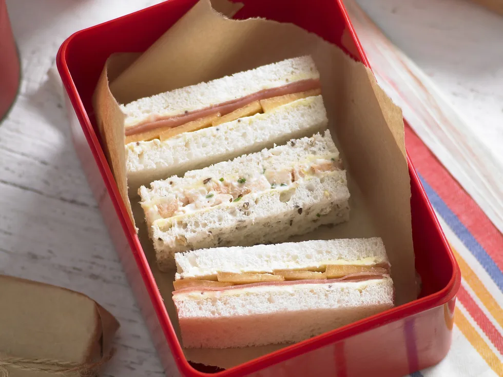 smoked trout ribbon sandwich