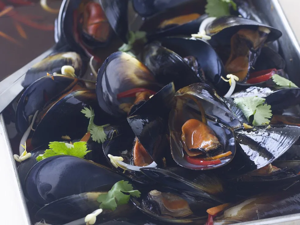 asian-flavoured baked mussels