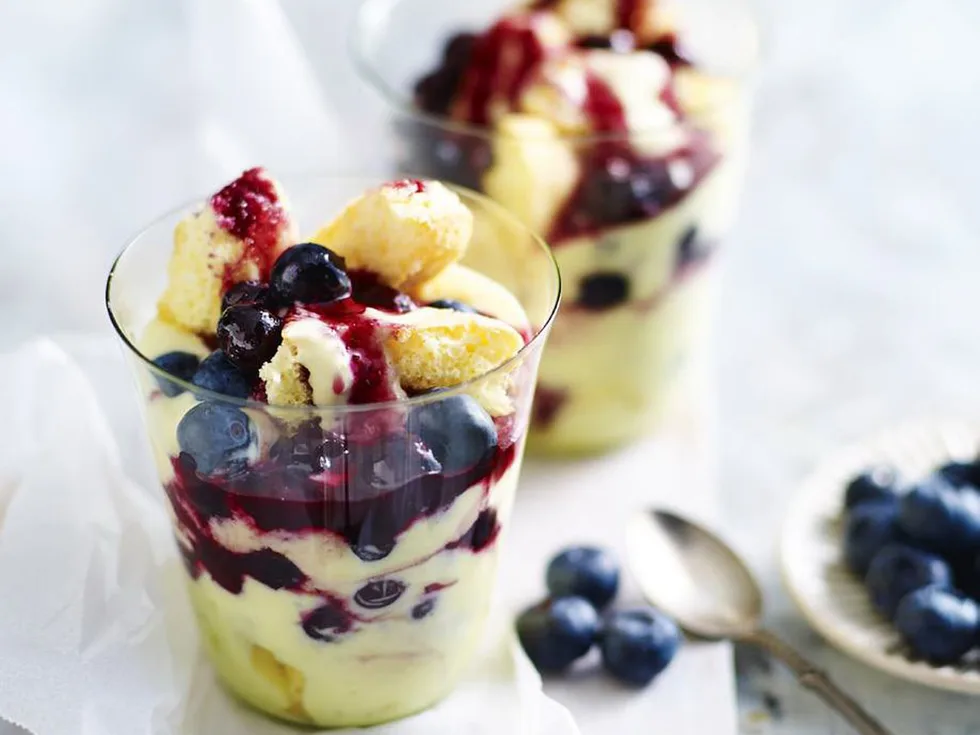 BLUEBERRY & ORANGE FOOLS