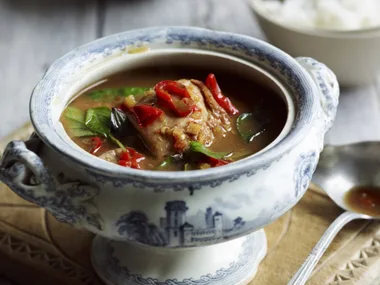 thai sour chicken curry