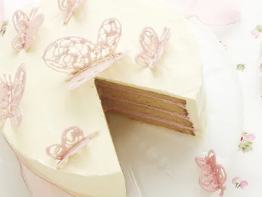 RASPBERRY  LAYERED   Butterfly Cake