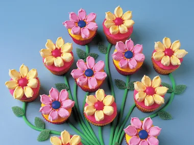 daisy bunch
