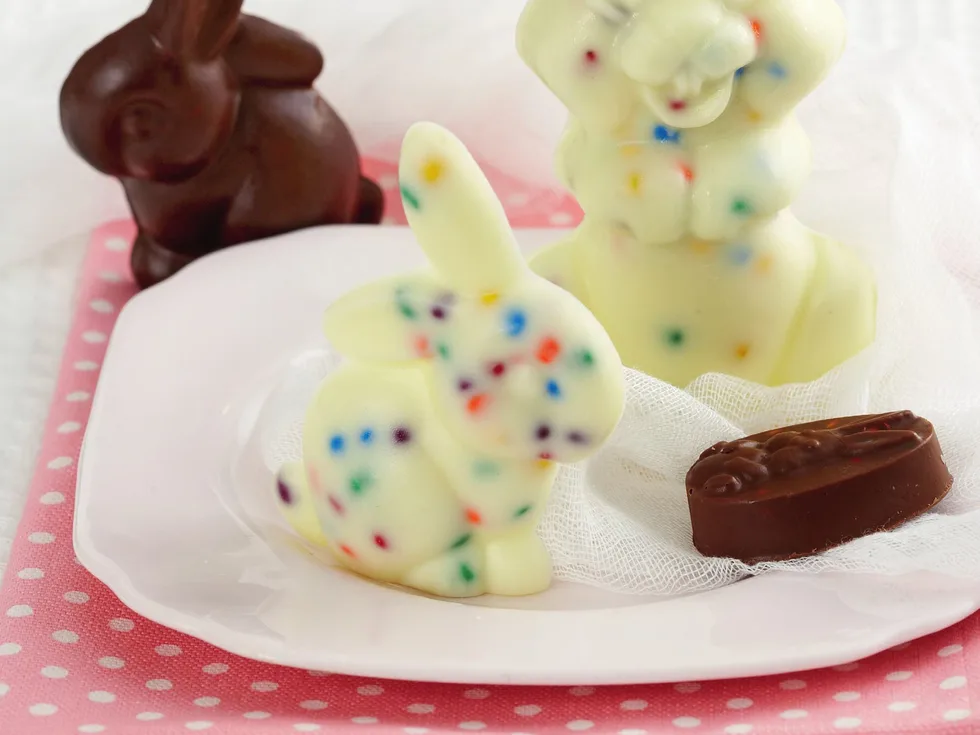 Chocolate moulds
