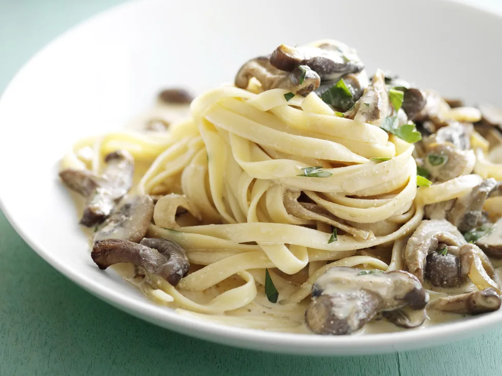 MIXED MUSHROOM STROGANOFF