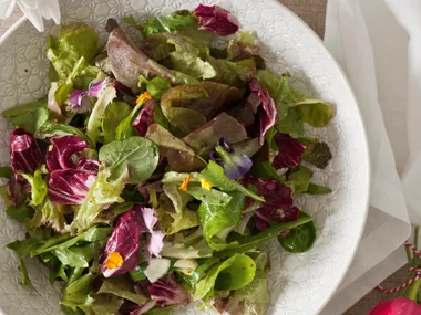 Winter green salad