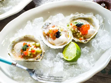 Bluff oysters with cucumber and dill