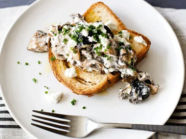 Creamy mushrooms on toasted brioche