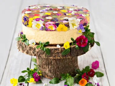 Baked ricotta cake with spring-flower jelly