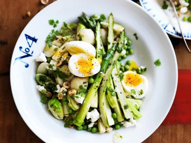 Everything you need to know about eggs