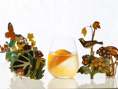 The bon viveur rum cocktail
