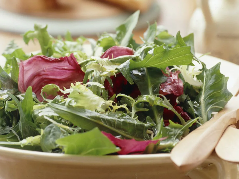 Bitter lettuce salad