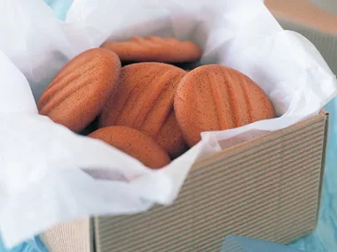 Golden cinnamon biscuits