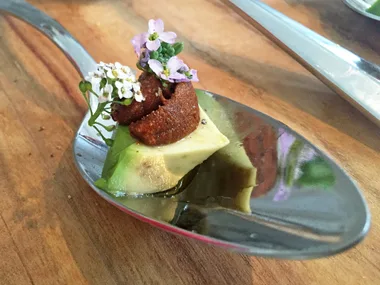 Sea urchin roe, avocado and beach flowers